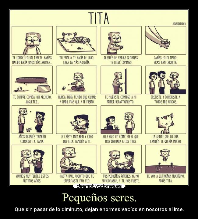 carteles anime tita gatita morir comic sebastian desmotivaciones