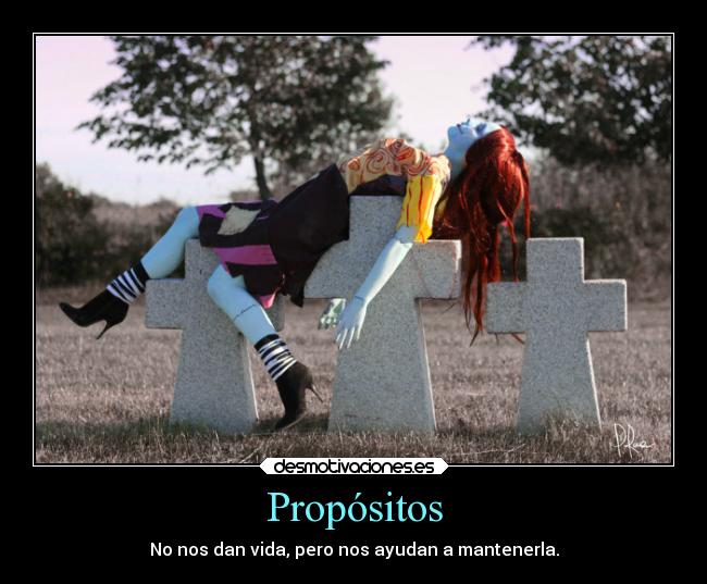 carteles anime vida muerte sally jack proposito desmotivaciones