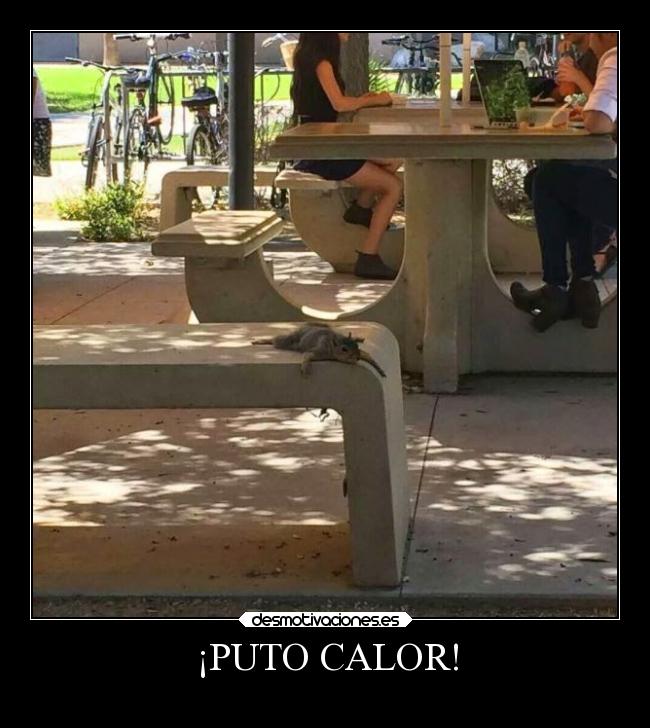 ¡PUTO CALOR! - 