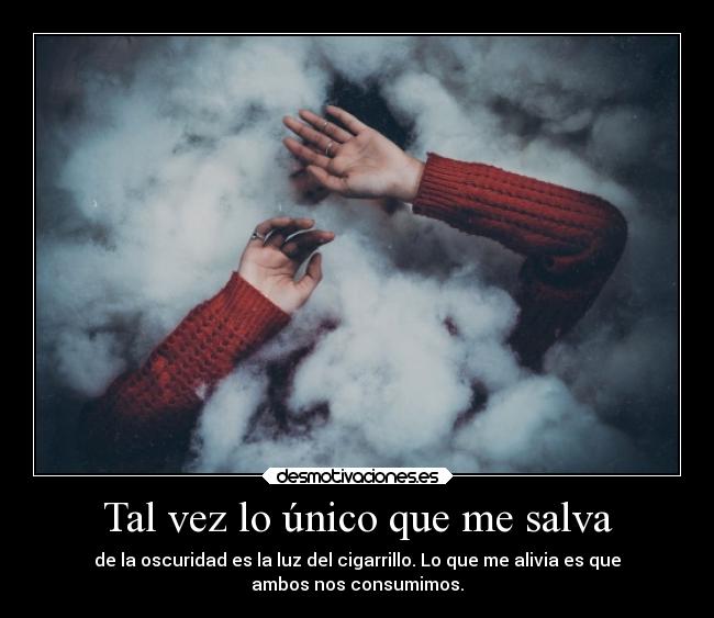 Tal vez lo único que me salva -