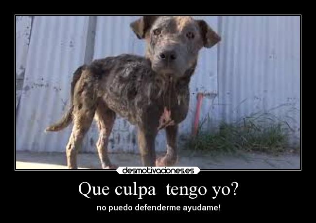 Que culpa tengo yo? - no puedo defenderme ayudame!