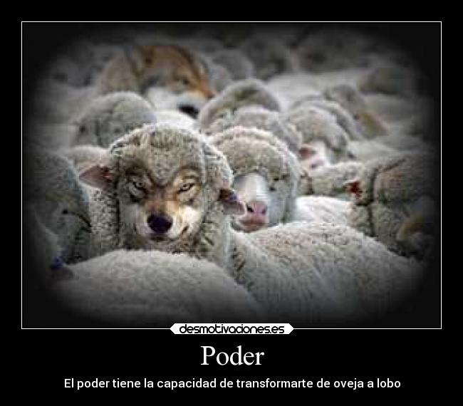 carteles caracter desmotivaciones