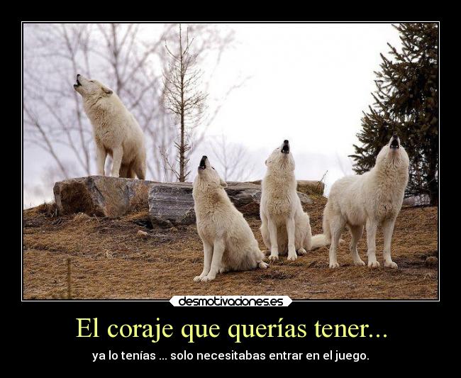 El coraje que querías tener... - 