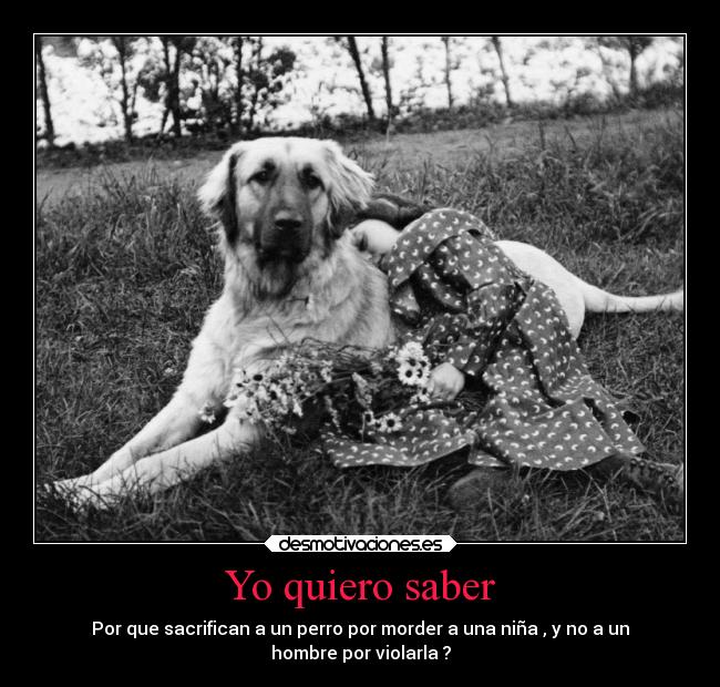 Yo quiero saber - Por que sacrifican a un perro por morder a una niña , y no a un
hombre por violarla ?