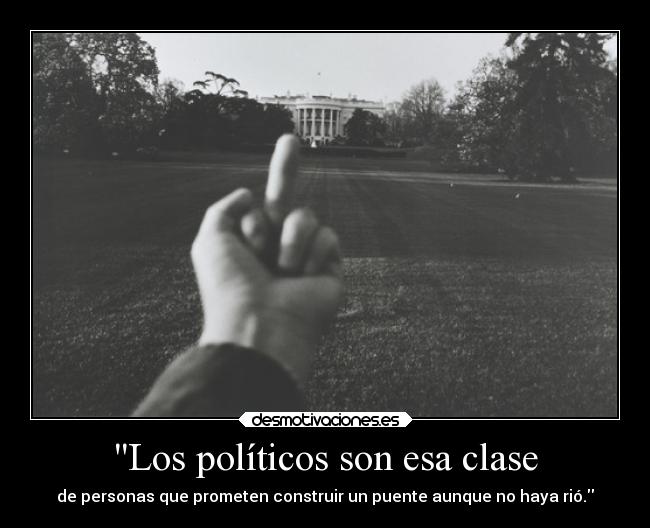 Los políticos son esa clase - de personas que prometen construir un puente aunque no haya rió.