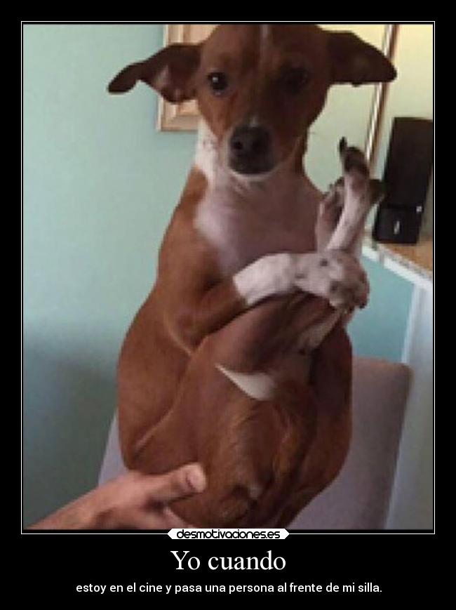 Yo cuando - estoy en el cine y pasa una persona al frente de mi silla.