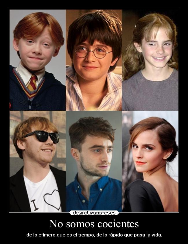 carteles cine harrypotter danielradcliffe rupertgrint hermionegranger ronweasley desmotivaciones