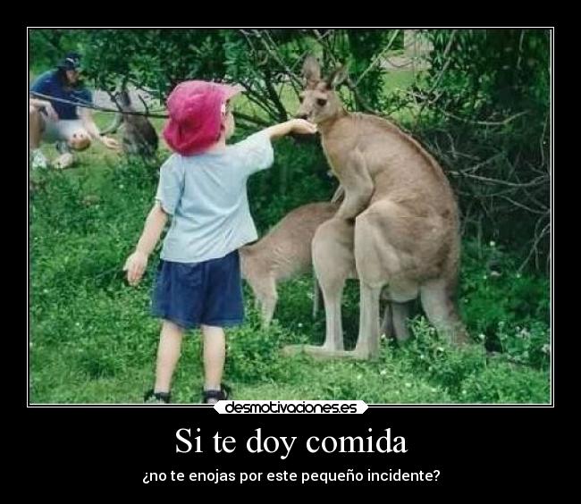 carteles comida chiste desmotivaciones