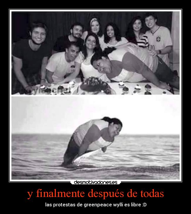 y finalmente después de todas - las protestas de greenpeace wylli es libre :D