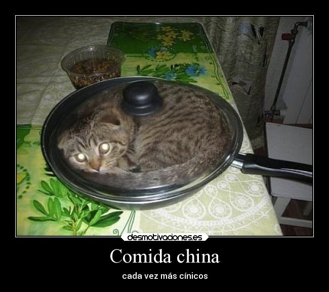 Comida china - cada vez más cínicos