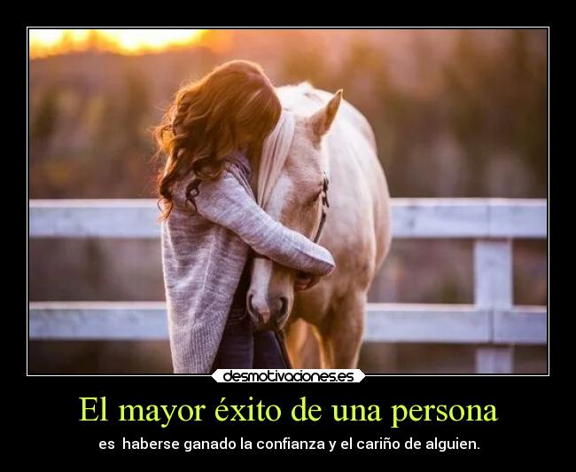 carteles confianza caballo carino exito desmotivaciones