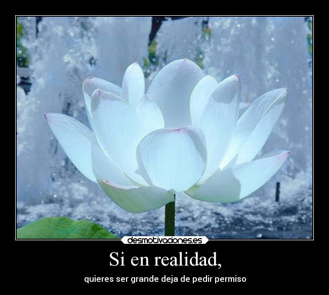 carteles confianza desmotivaciones