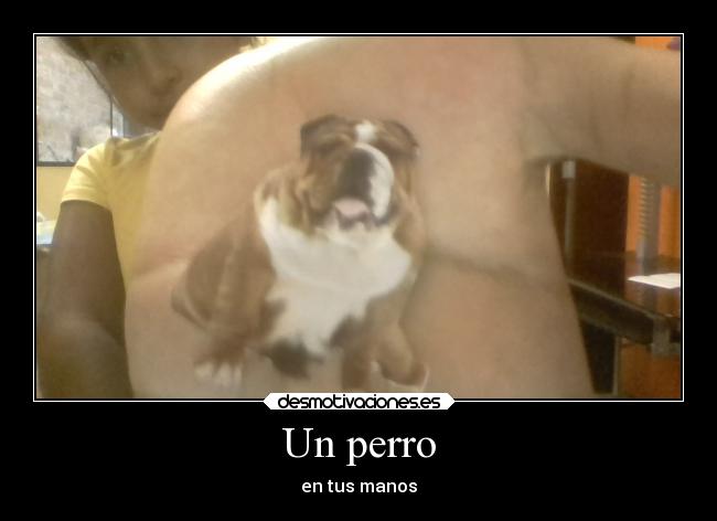 carteles confianza desmotivaciones