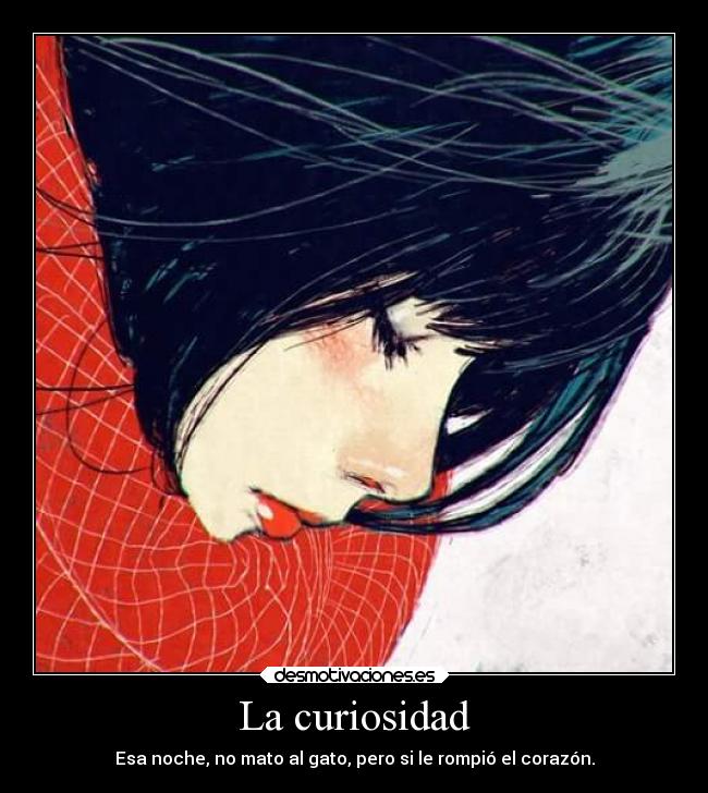 La curiosidad - Esa noche, no mato al gato, pero si le rompió el corazón.