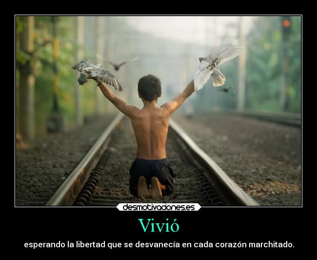 carteles corazon libertad vida vivio esperar desvanecer marchitar tren paloma desmotivaciones