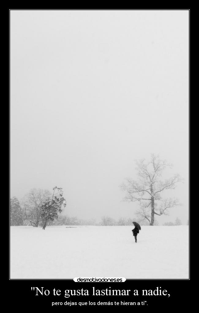 carteles debilidad demonsoflight midnightorchestra hannah pll desmotivaciones