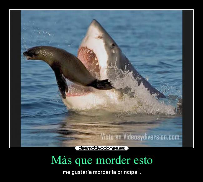 carteles deseos humor desmotivaciones tonterias usuarios dingoo desmotivaciones