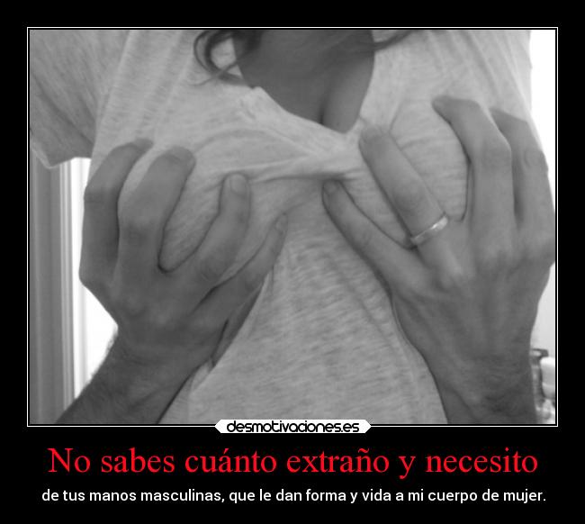 No sabes cuánto extraño y necesito -