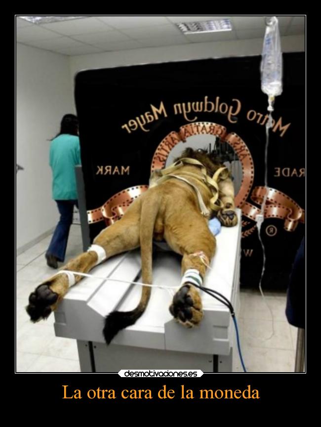 La otra cara de la moneda -