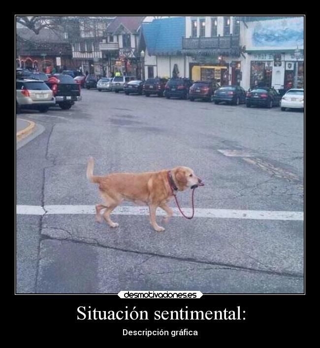 Situación sentimental: -