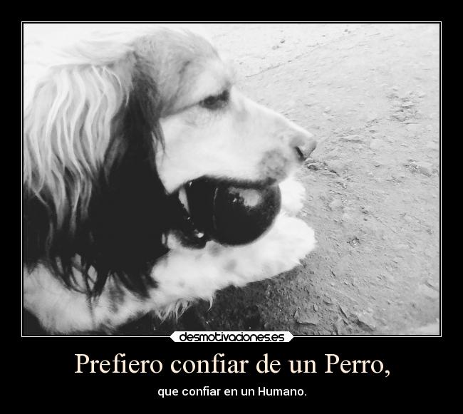 Prefiero confiar de un Perro, -