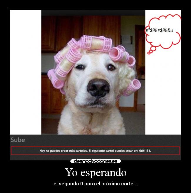 Yo esperando - el segundo 0 para el próximo cartel...