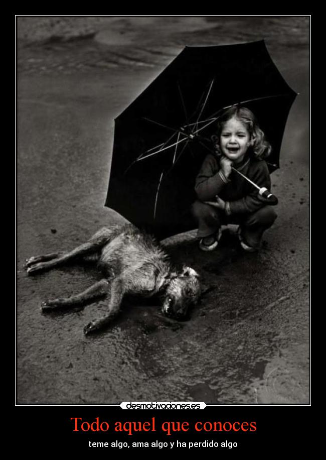Todo aquel que conoces - teme algo, ama algo y ha perdido algo