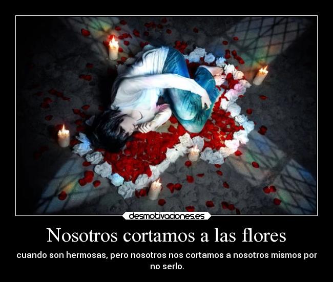 Nosotros cortamos a las flores - 