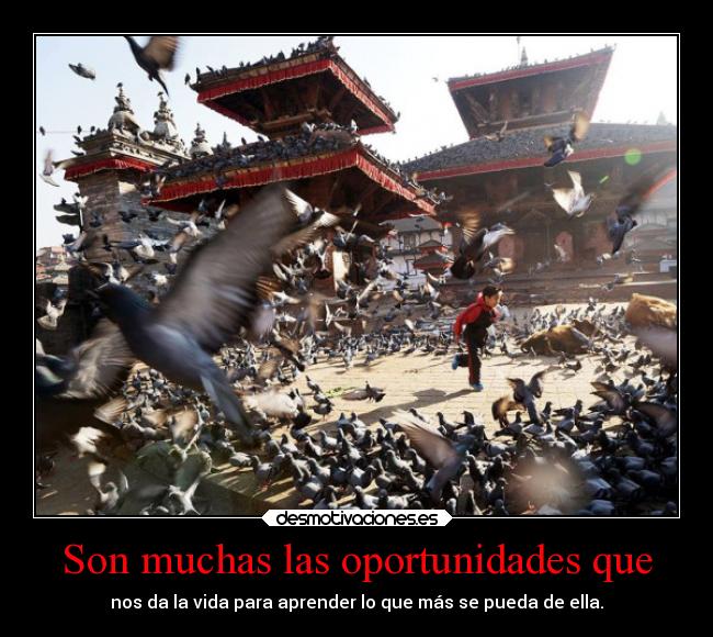 Son muchas las oportunidades que -