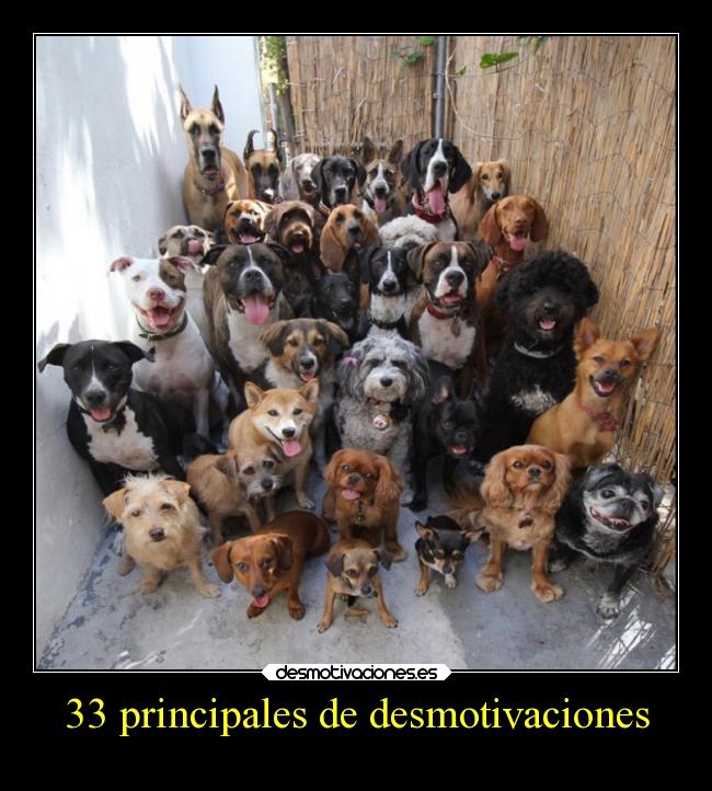 33 principales de desmotivaciones - 