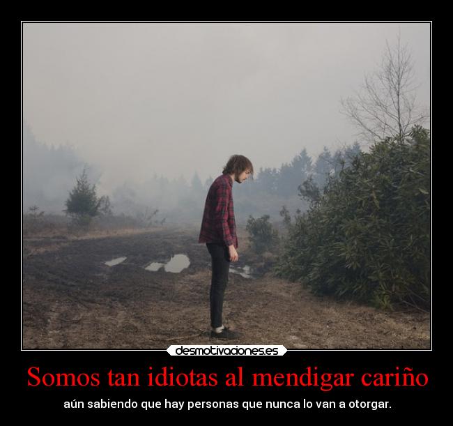 Somos tan idiotas al mendigar cariño - aún sabiendo que hay personas que nunca lo van a otorgar.