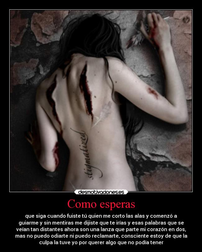 Como esperas - que siga cuando fuiste tú quien me corto las alas y comenzó a
guiarme y sin mentiras me dijiste que te irías y esas palabras que se
veían tan distantes ahora son una lanza que parte mi corazón en dos,
mas no puedo odiarte ni puedo reclamarte, consciente estoy de que la
culpa la tuve yo por querer algo que no podía tener