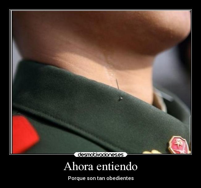 Ahora entiendo - Porque son tan obedientes