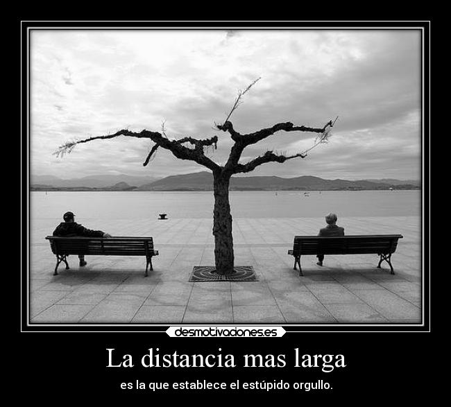 carteles distancia vida desmotivaciones