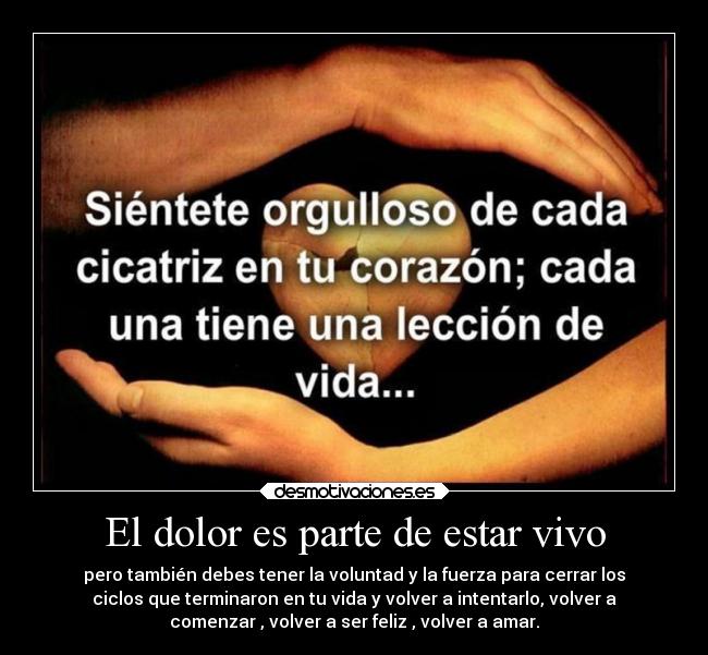 El dolor es parte de estar vivo - 