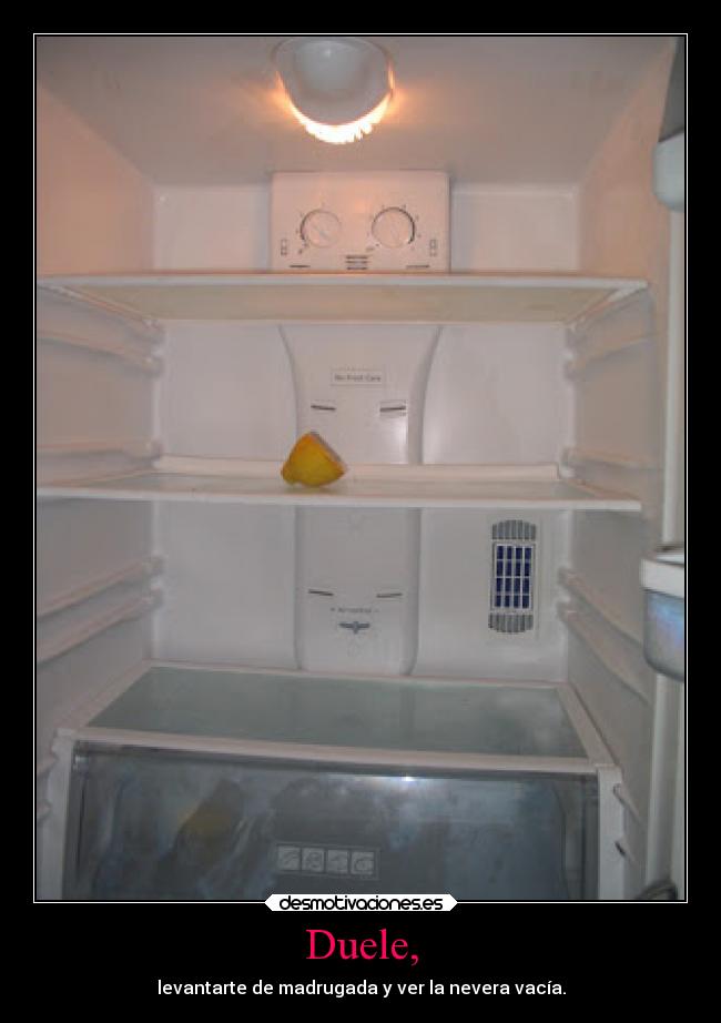 Duele, - levantarte de madrugada y ver la nevera vacía.