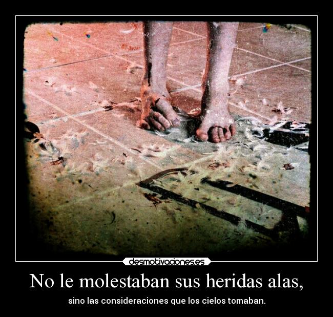 No le molestaban sus heridas alas, - 