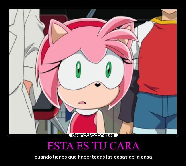 ESTA ES TU CARA - cuando tienes que hacer todas las cosas de la casa