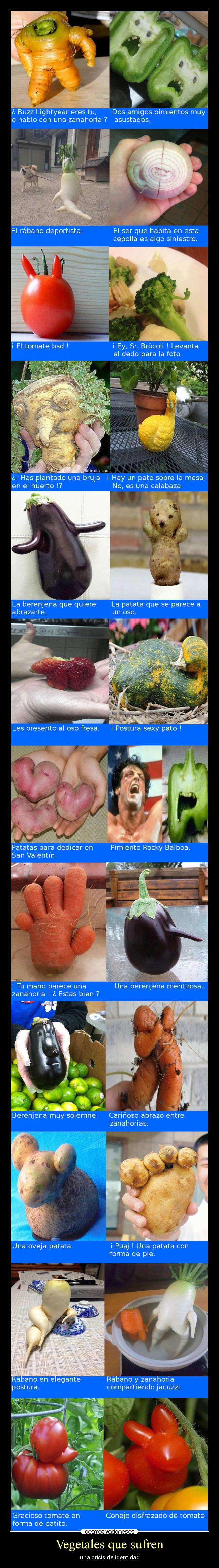 Vegetales que sufren - 