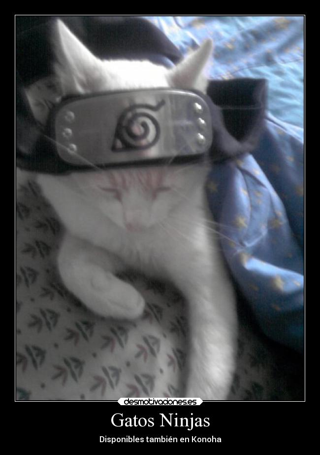 carteles gatos ideas naruto gatos ninja desmotivaciones