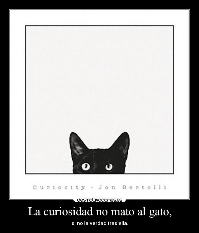 La curiosidad no mato al gato, - 