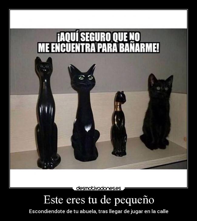 Este eres tu de pequeño - 