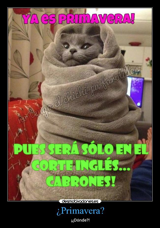 carteles graciosas humor frio risas gato primavera corteingles manta desmotivaciones