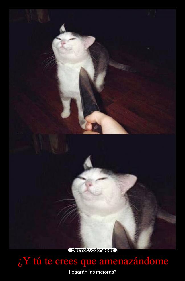 carteles graciosas tonto humor desmoc3 tonterias mejoras yaesgraciosalapalabra desmotivaciones