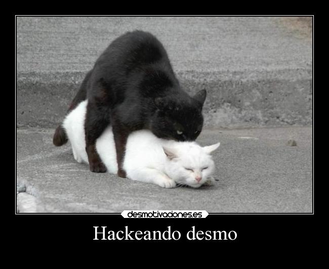 carteles historia sexo gatos humor slipkdemon clandesplazado hackers hacking recreacion historica desmotivaciones