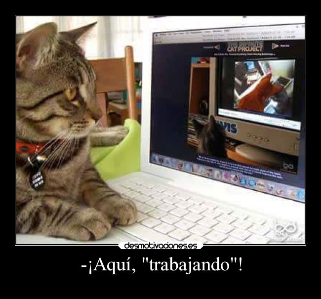 -¡Aquí, trabajando! -