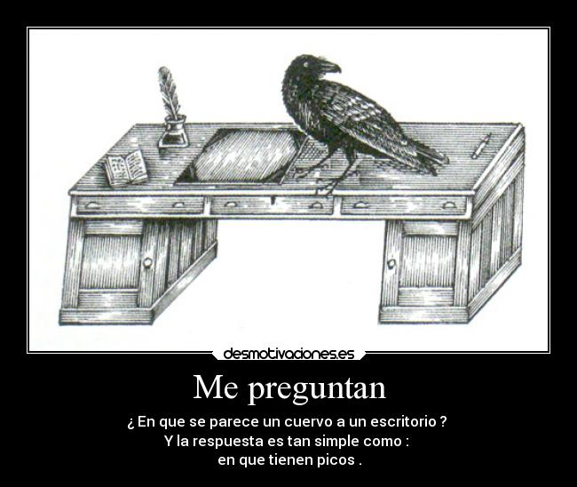 carteles humor chiste animales tontunas dingoo manada32 desmotivaciones