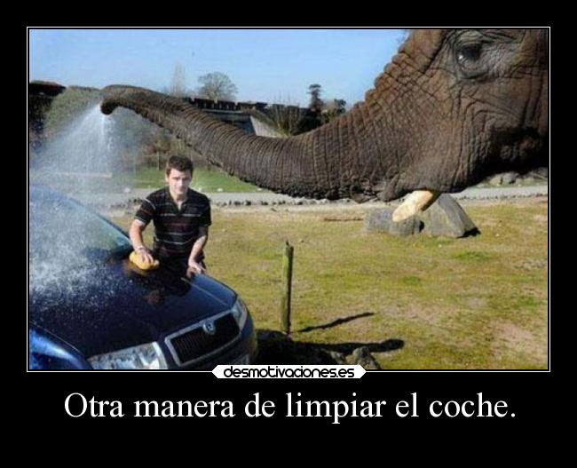 Otra manera de limpiar el coche. -