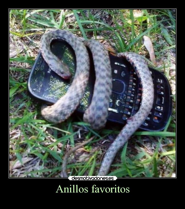 carteles humor desmotivaciones