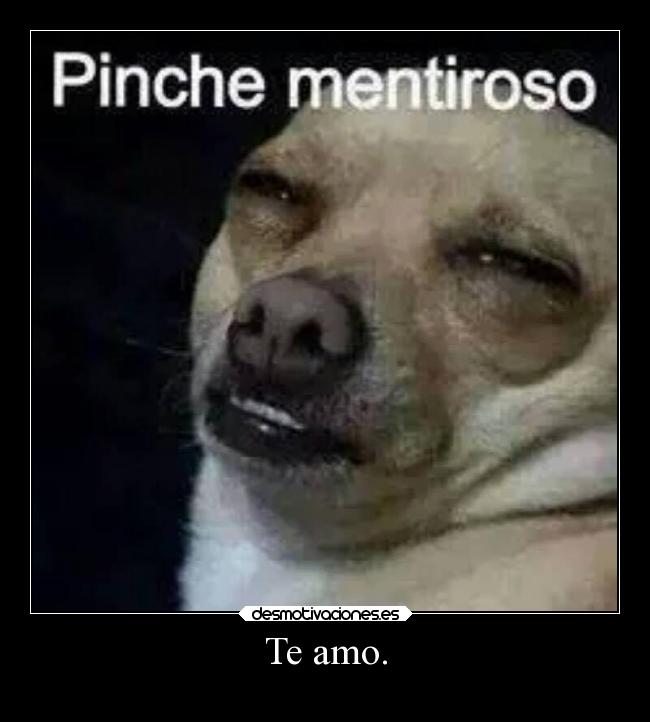Te amo. - 